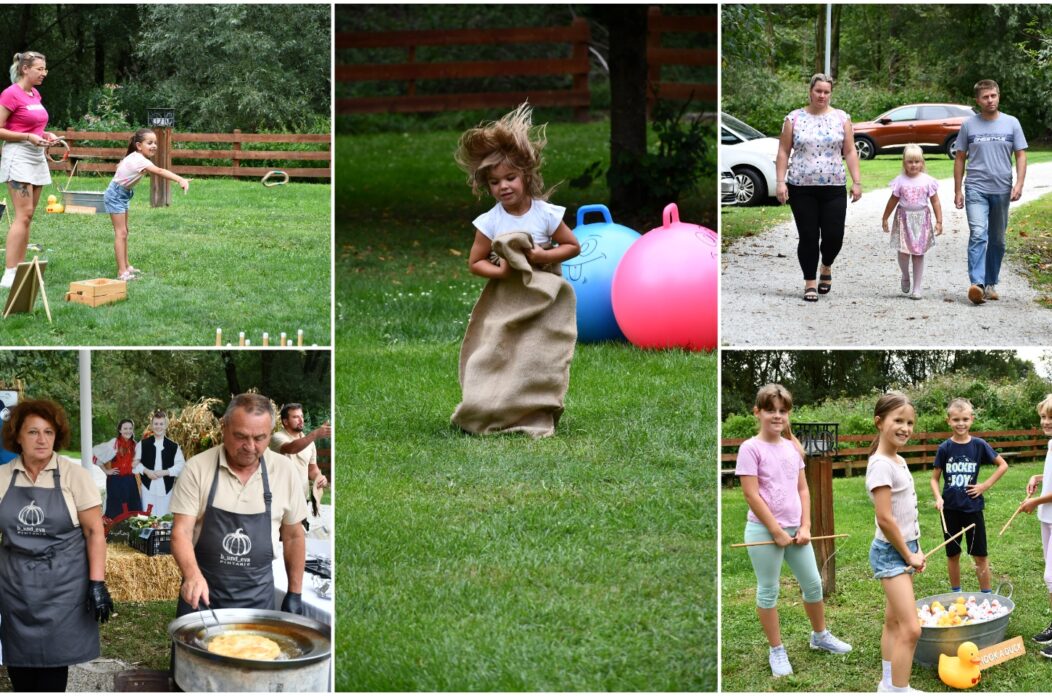 MixCollage-31-Aug-2025-03-03-PM-9677 MixCollage-31-Aug-2025-03-03-PM-9677