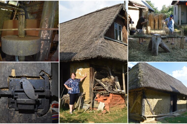 MixCollage-31-Aug-2025-09-31-PM-9733