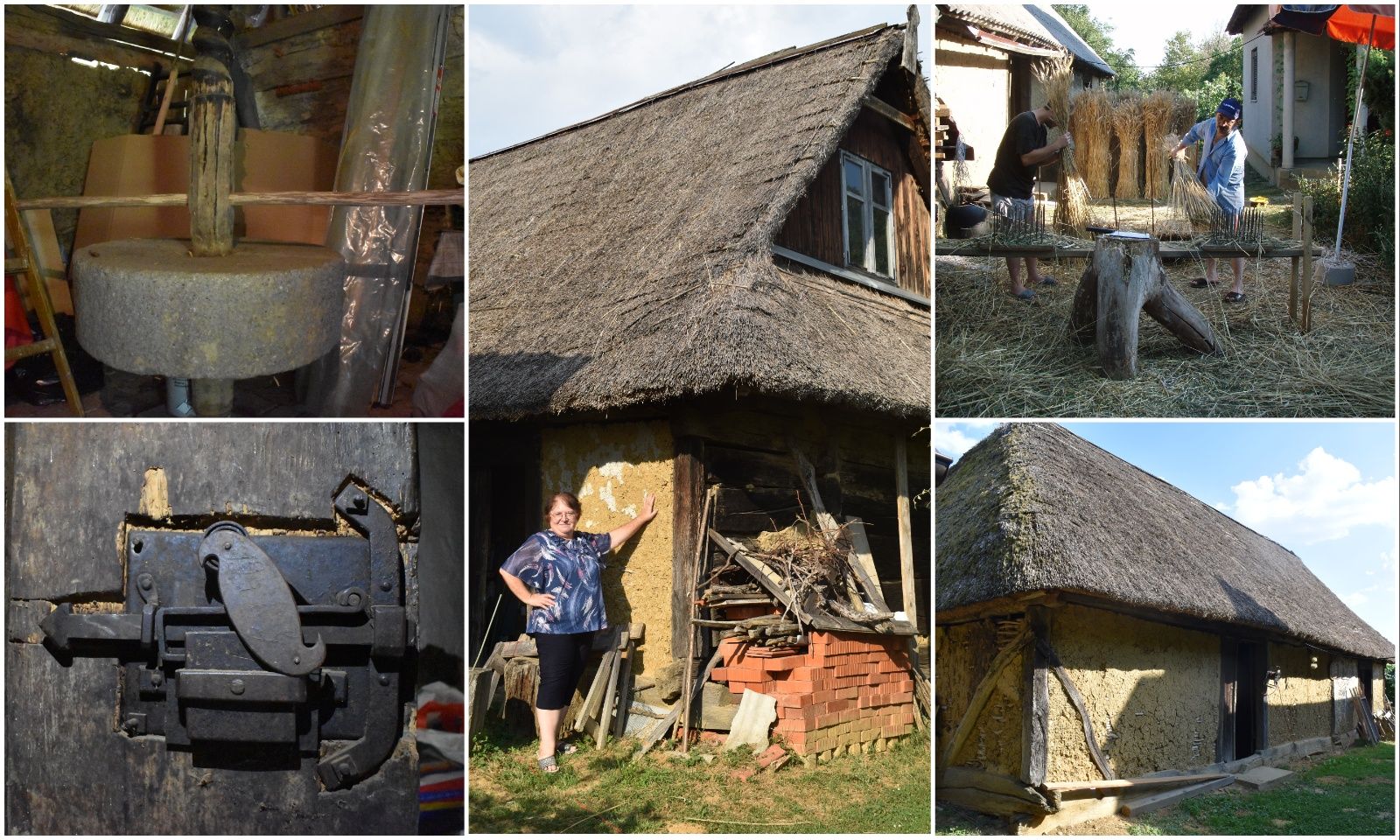 MixCollage-31-Aug-2025-09-31-PM-9733 MixCollage-31-Aug-2025-09-31-PM-9733