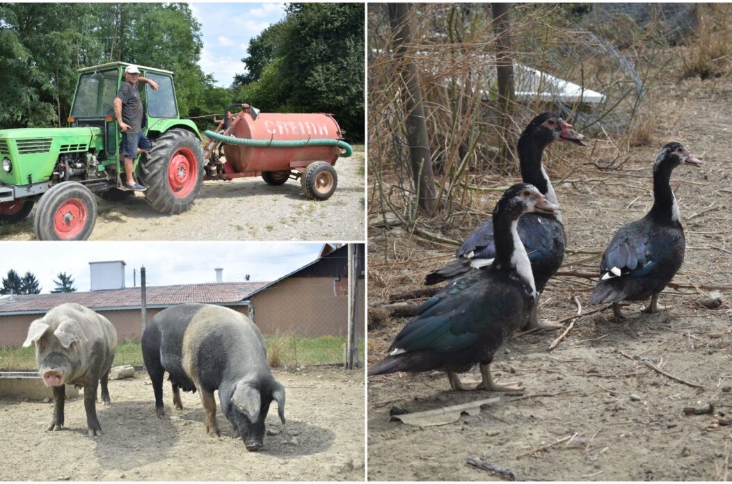 MixCollage-31-Aug-2025-09-48-PM-4422 MixCollage-31-Aug-2025-09-48-PM-4422