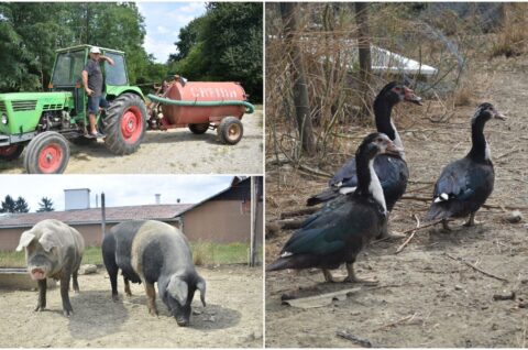 MixCollage-31-Aug-2025-09-48-PM-4422