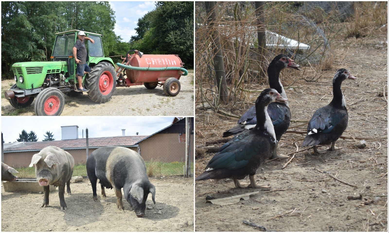 MixCollage-31-Aug-2025-09-48-PM-4422 MixCollage-31-Aug-2025-09-48-PM-4422