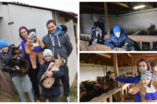 MixCollage-31-Jan-2025-06-42-PM-2297