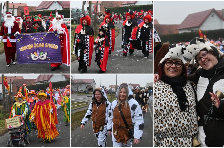 MixCollage-31-Jan-2026-05-37-PM-9719 MixCollage-31-Jan-2026-05-37-PM-9719