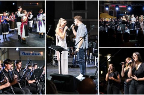 MixCollage-31-Jul-2025-08-21-PM-8185