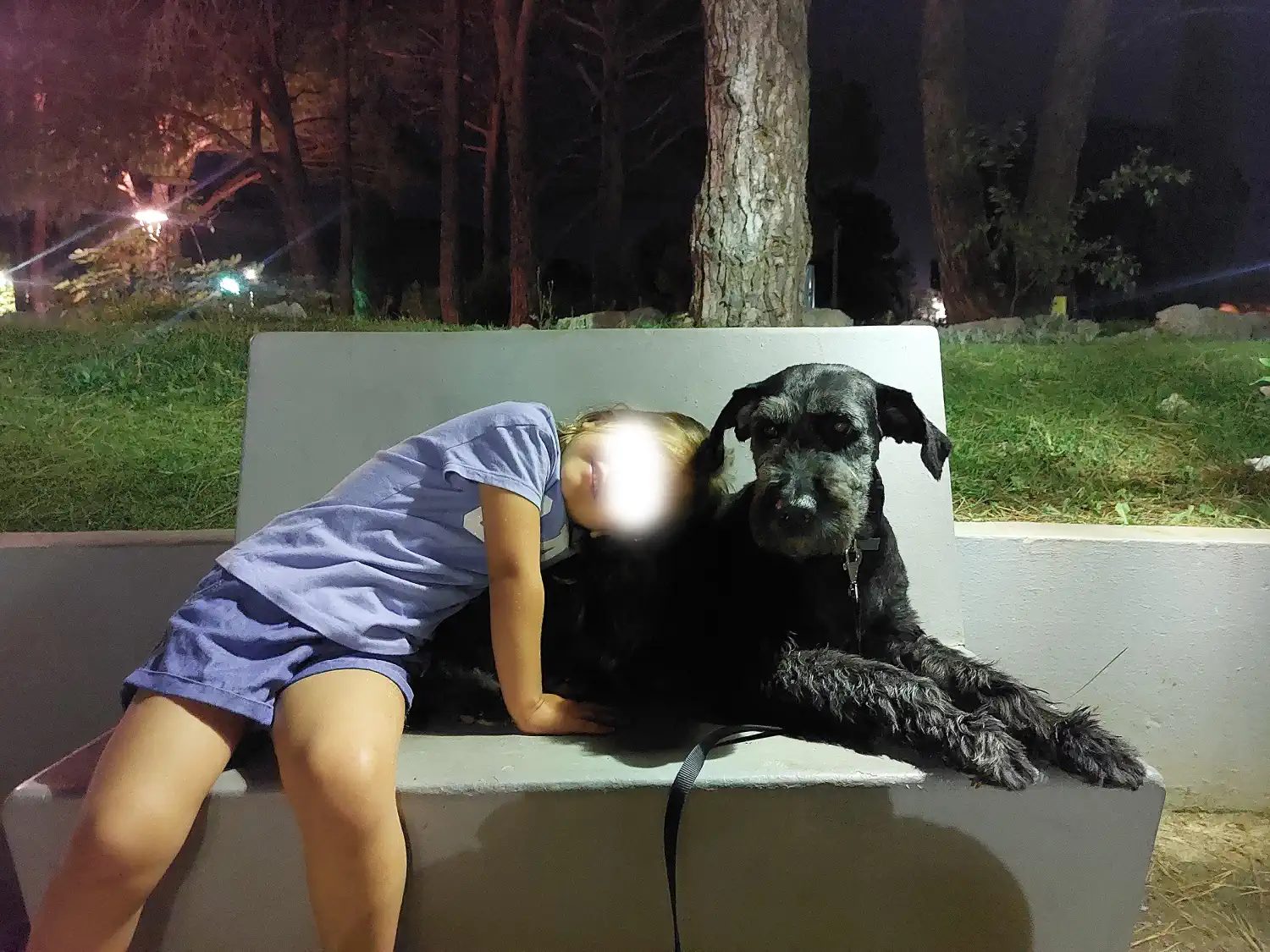 Mješanka Sue slavi 10 udomljendan – bila je neželjeni pas, a danas je zvijezda kvarta (4) Mješanka Sue slavi 10 udomljendan – bila je neželjeni pas, a danas je zvijezda kvarta (4)