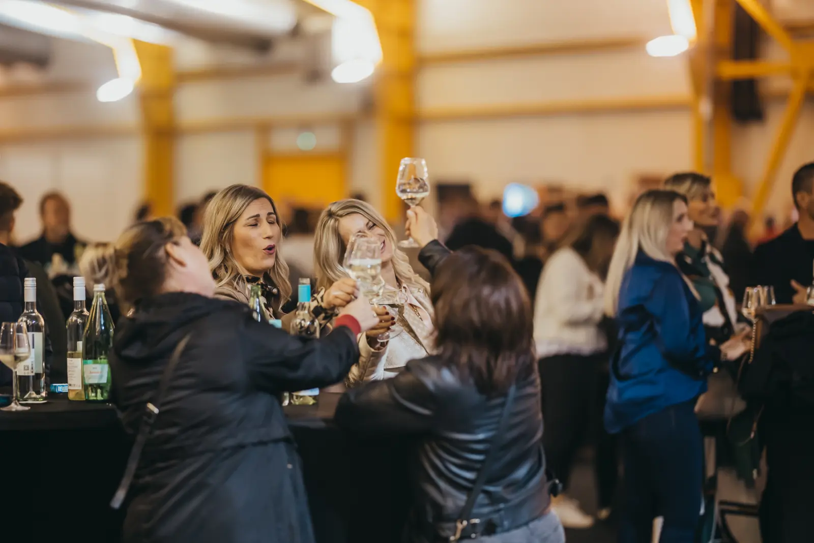 Mlado Međimurje2 Mlado Međimurje2