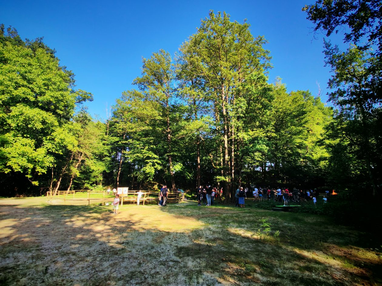 Mlaka Dolić Knezovec (12) Mlaka Dolić Knezovec (12)