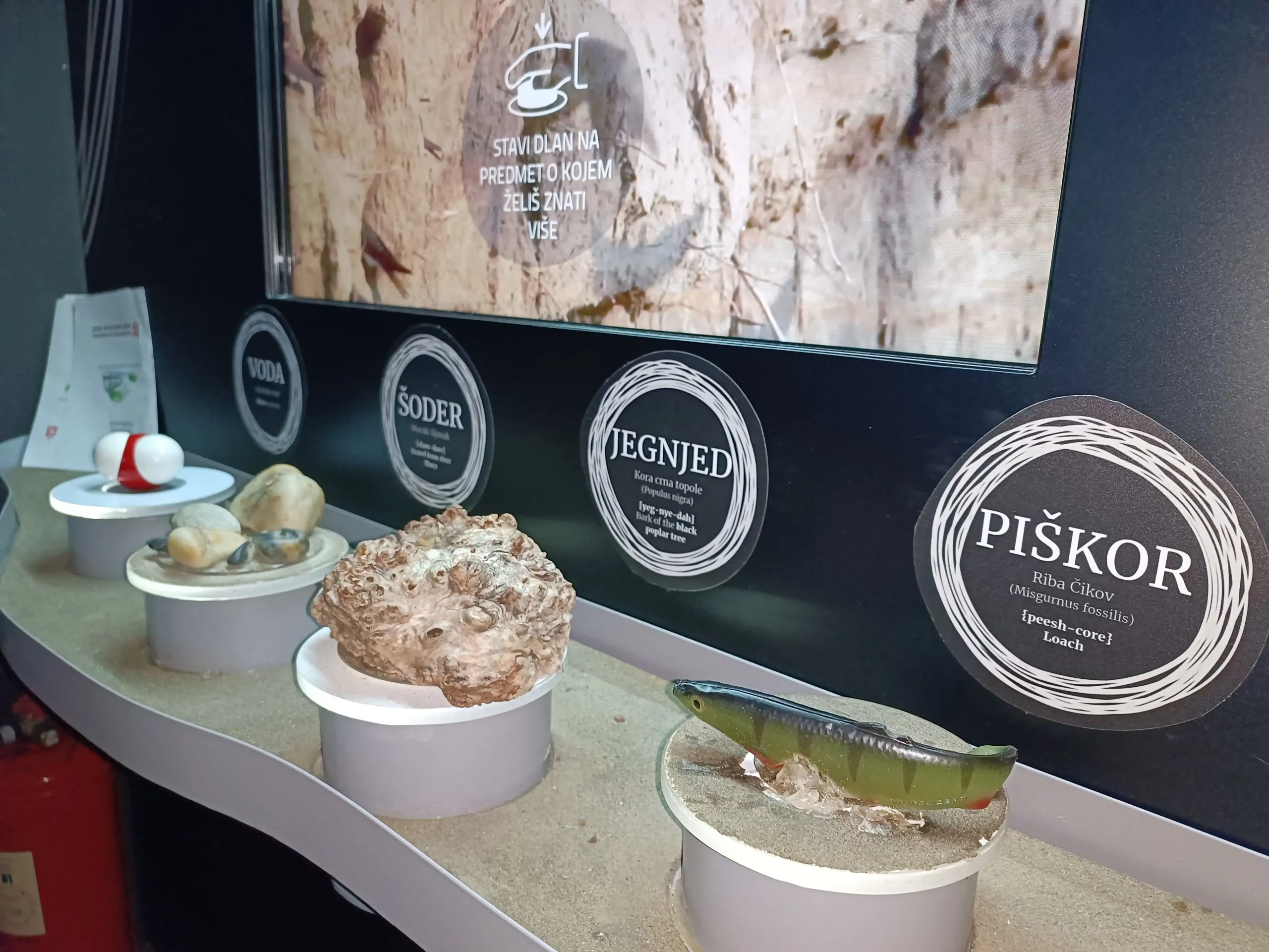 Mlin na Muri, Dan otvorenih vrata 2024 (48) Mlin na Muri, Dan otvorenih vrata 2024 (48)