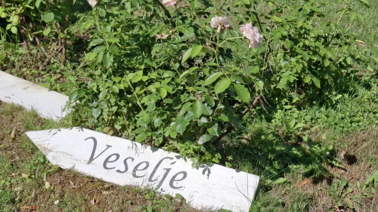 Mohanji, Goričan (10)