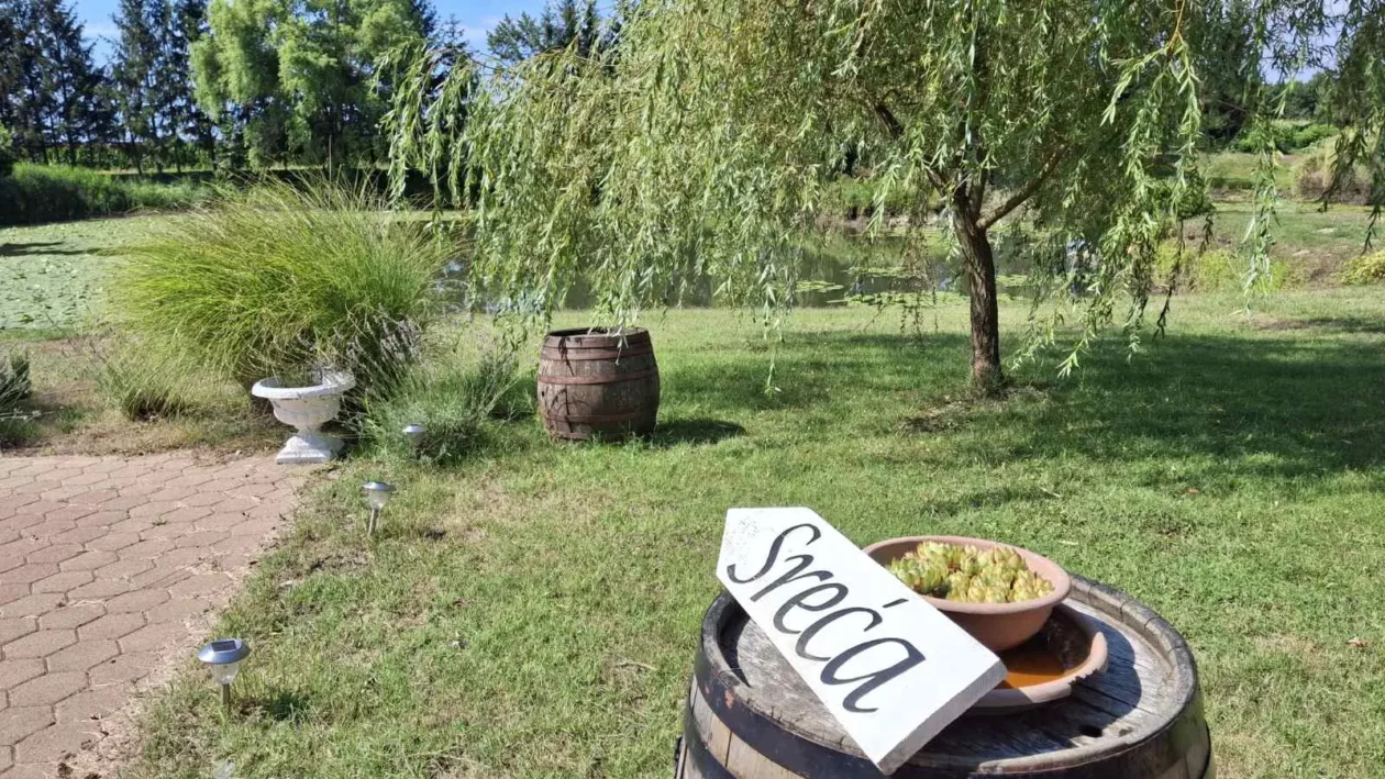 Mohanji, Goričan (11)