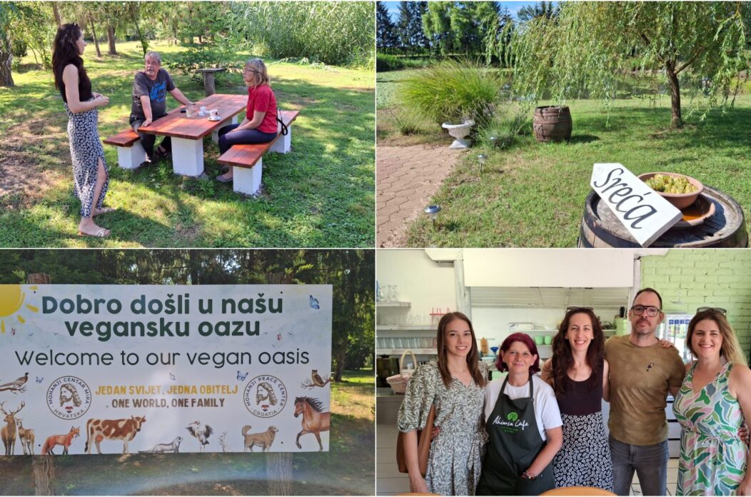 Mohanji, Zelengaj, Naslovna