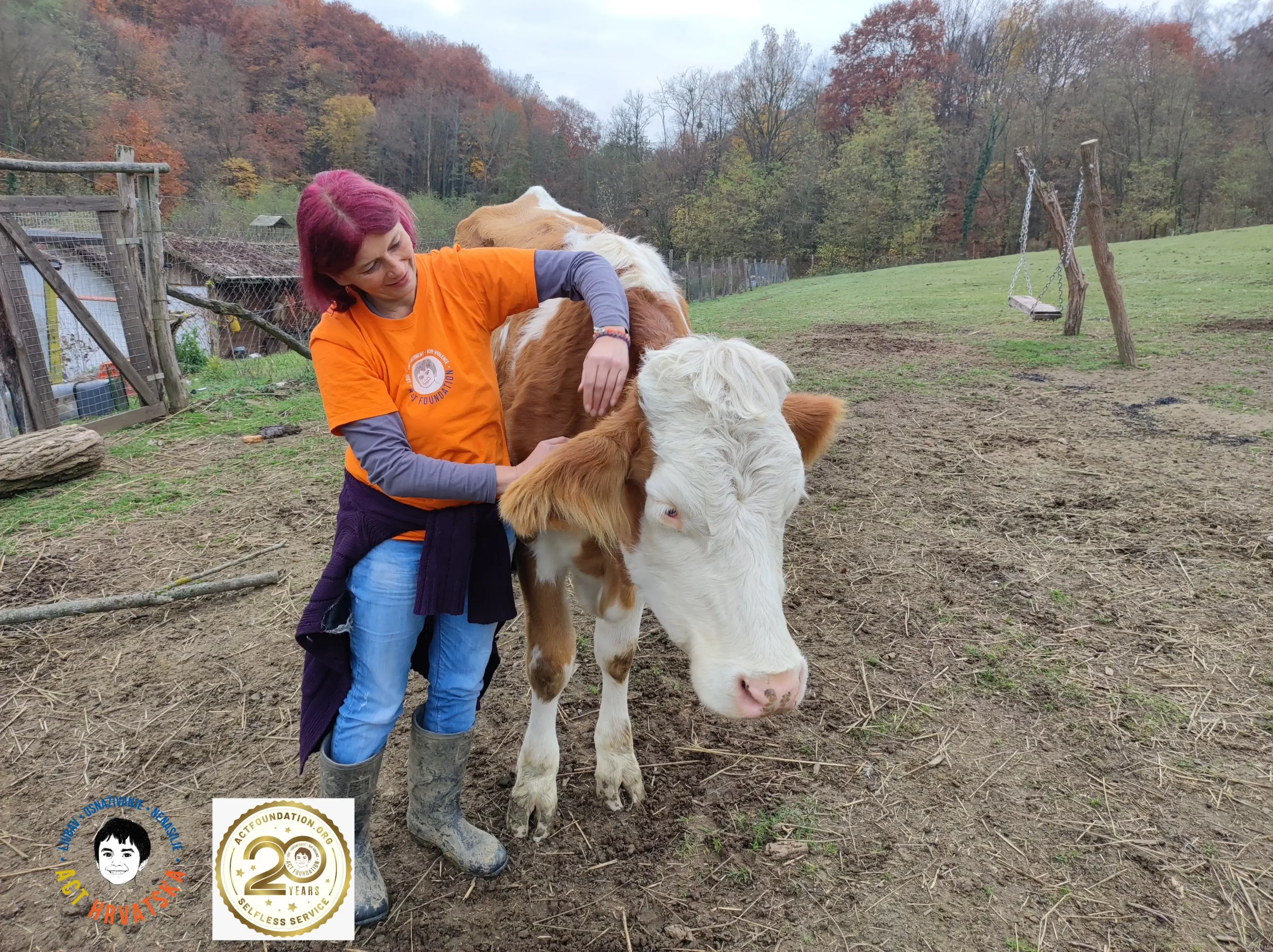 Mohanji centar (11) Mohanji centar (11)