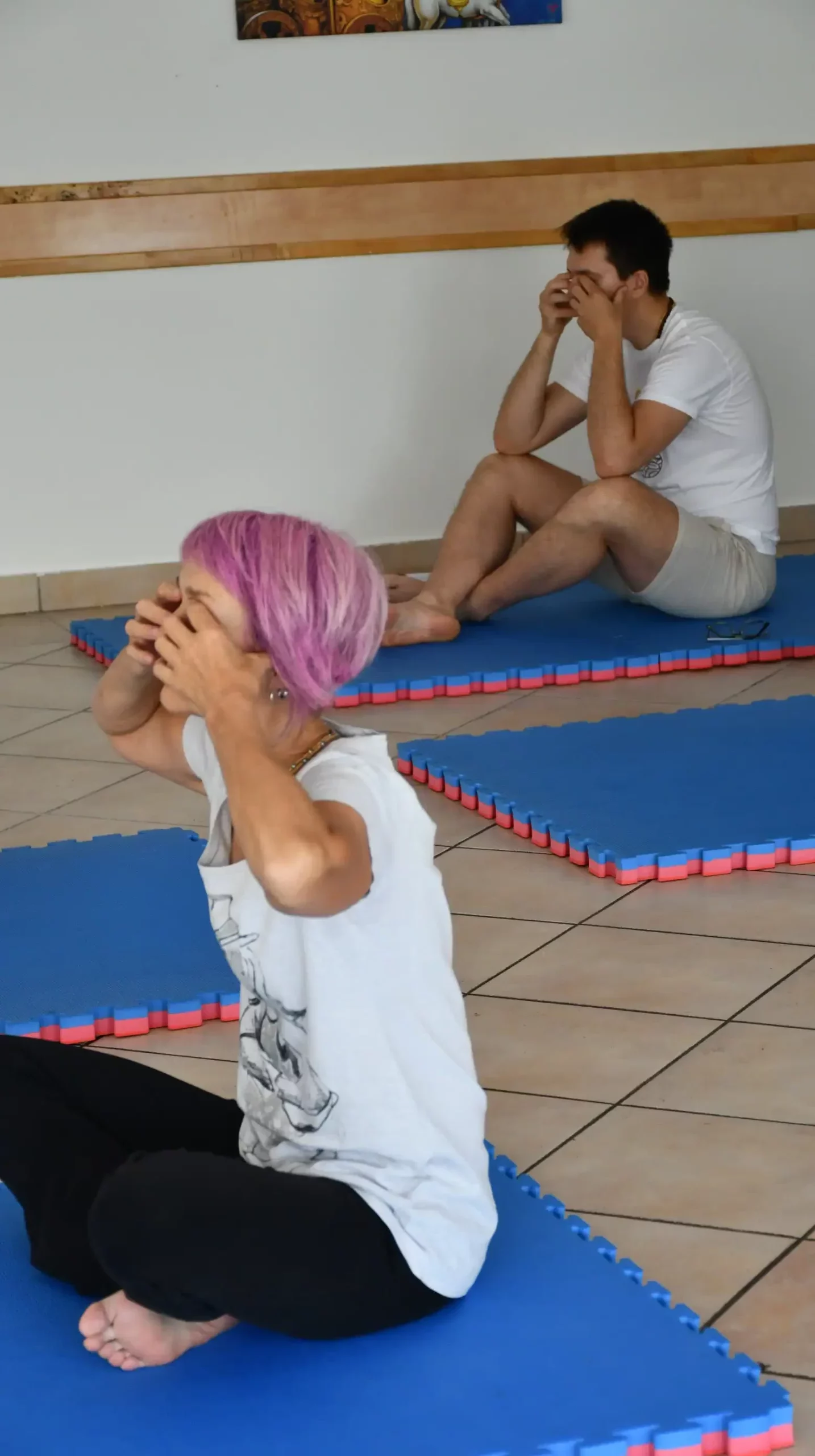 Mohanji centar (17) Mohanji centar (17)