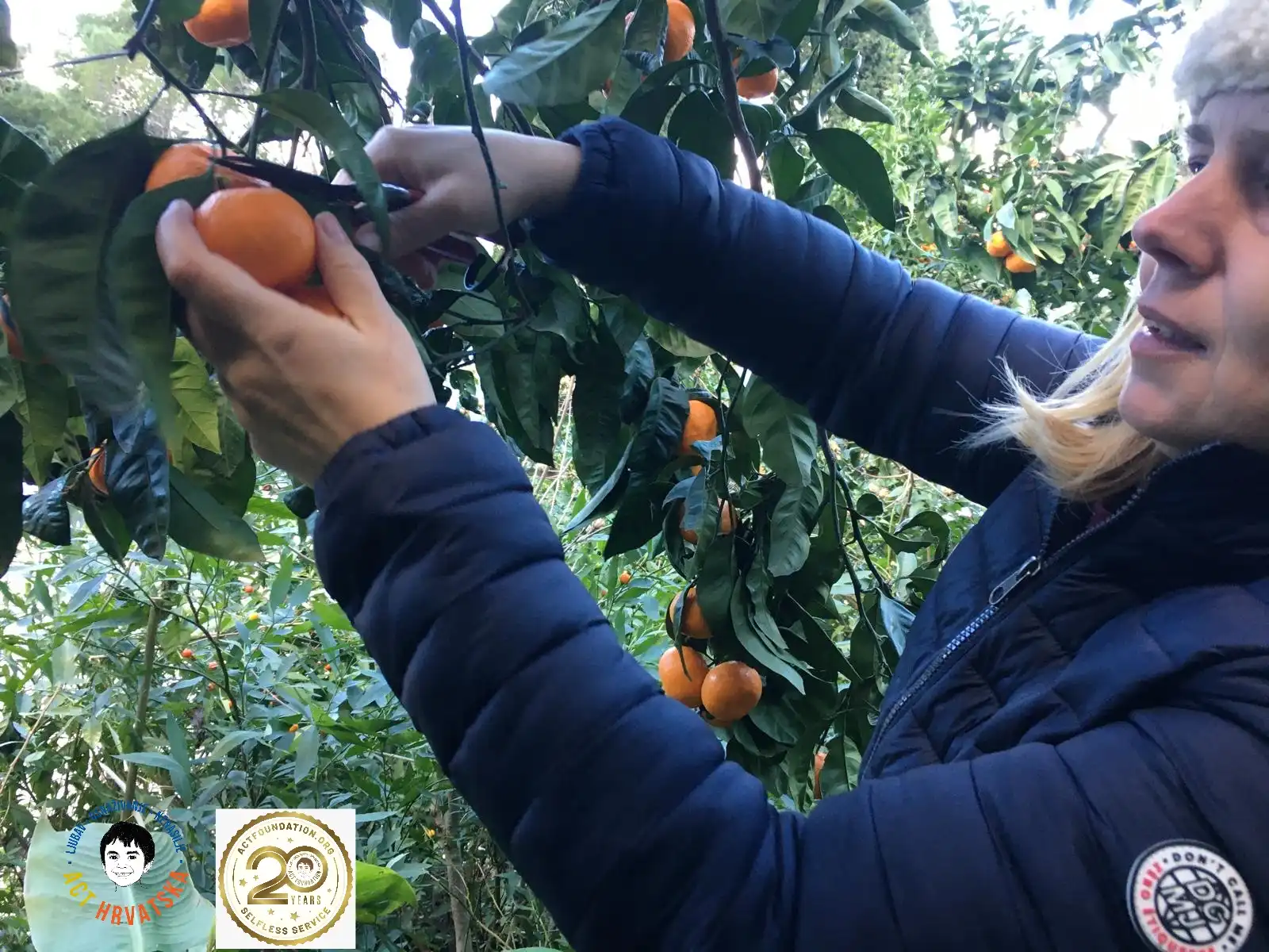 Mohanji centar (4) Mohanji centar (4)