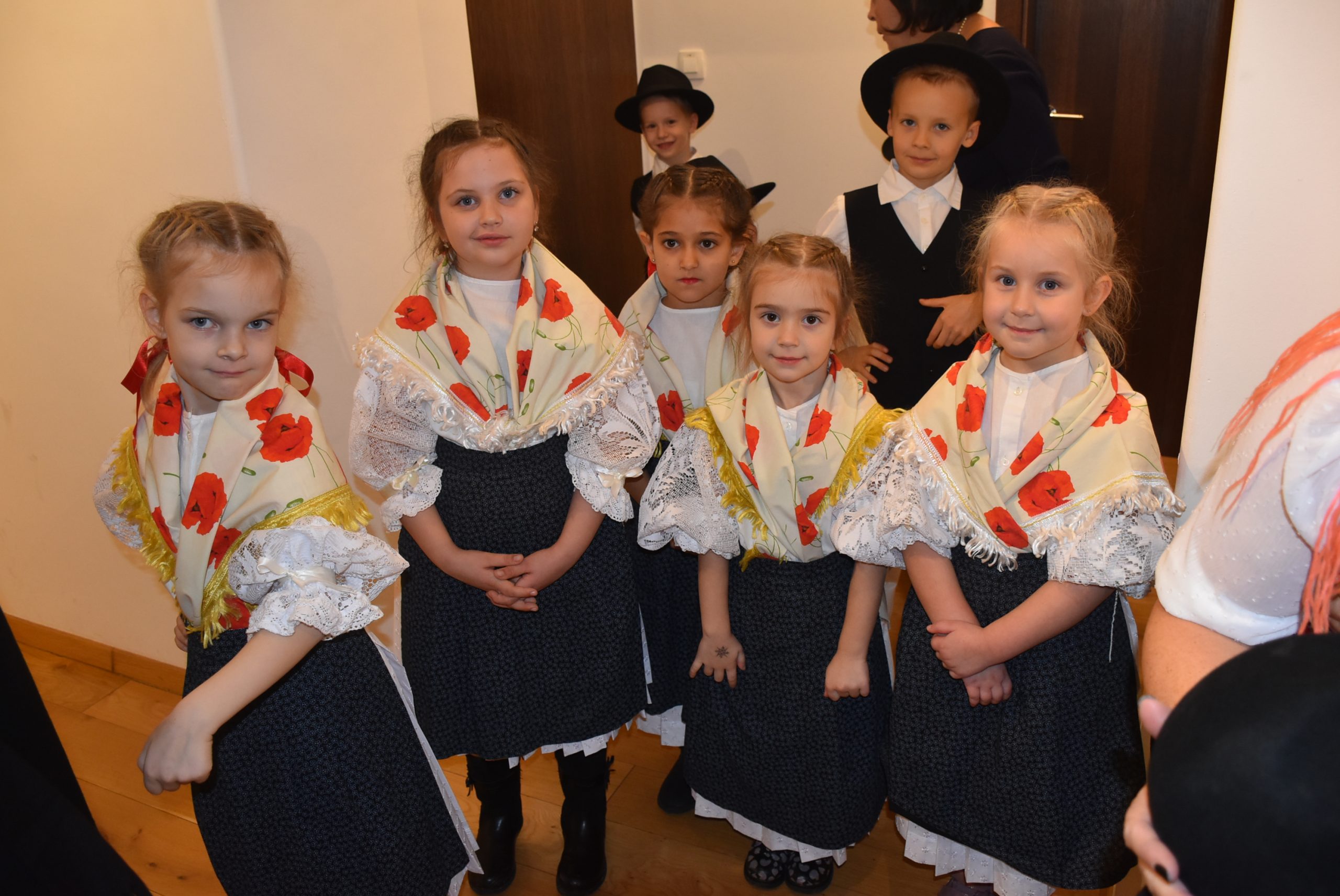 Monografija, Popevka, Županija (1)