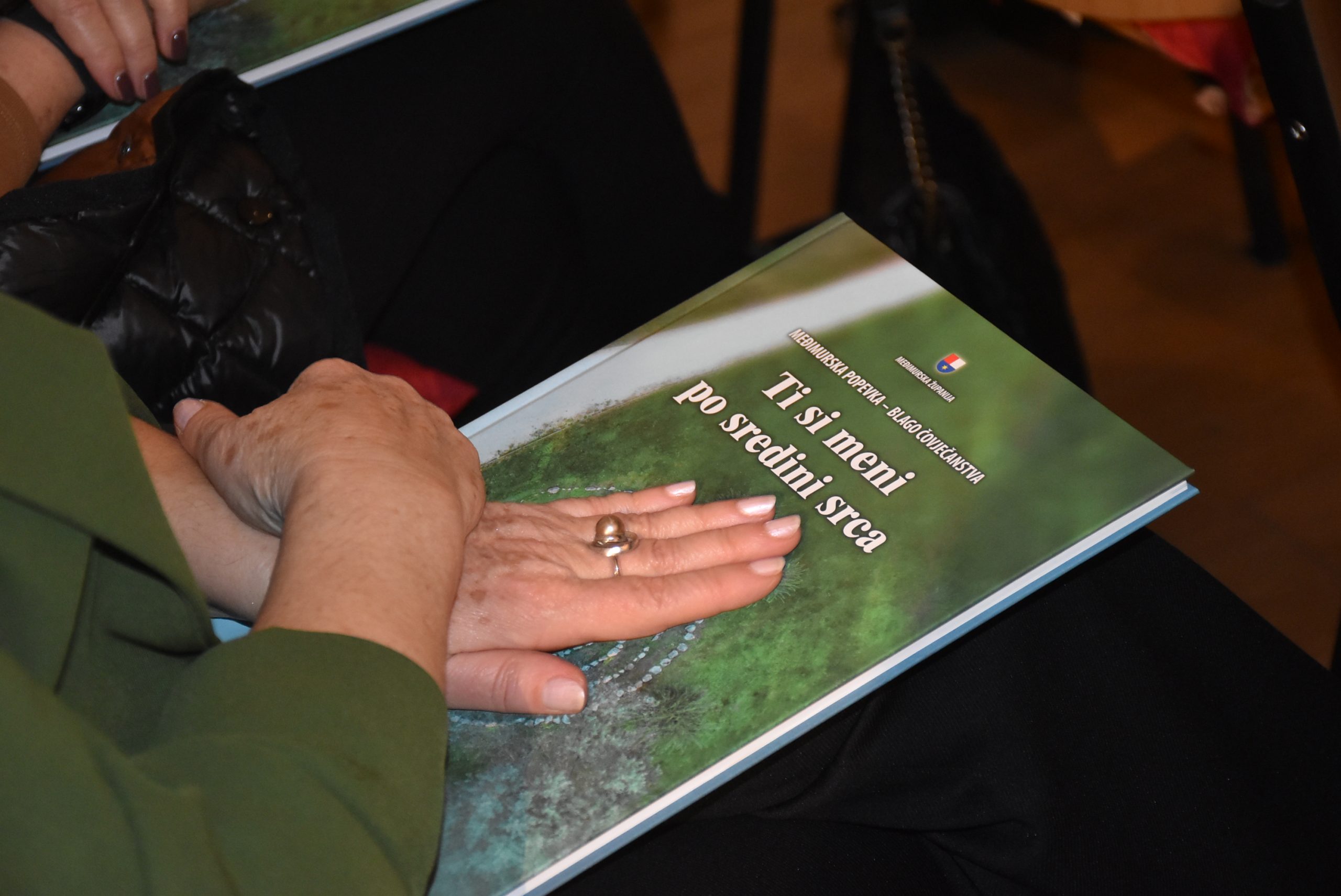 Monografija, Popevka, Županija (2)