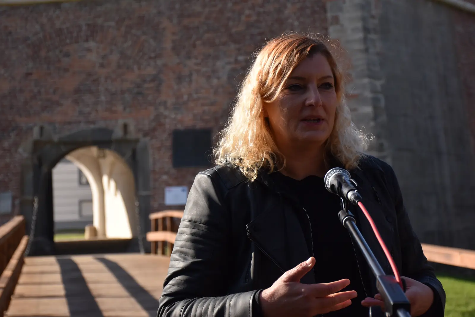 Most Katarine Zrinski (18)