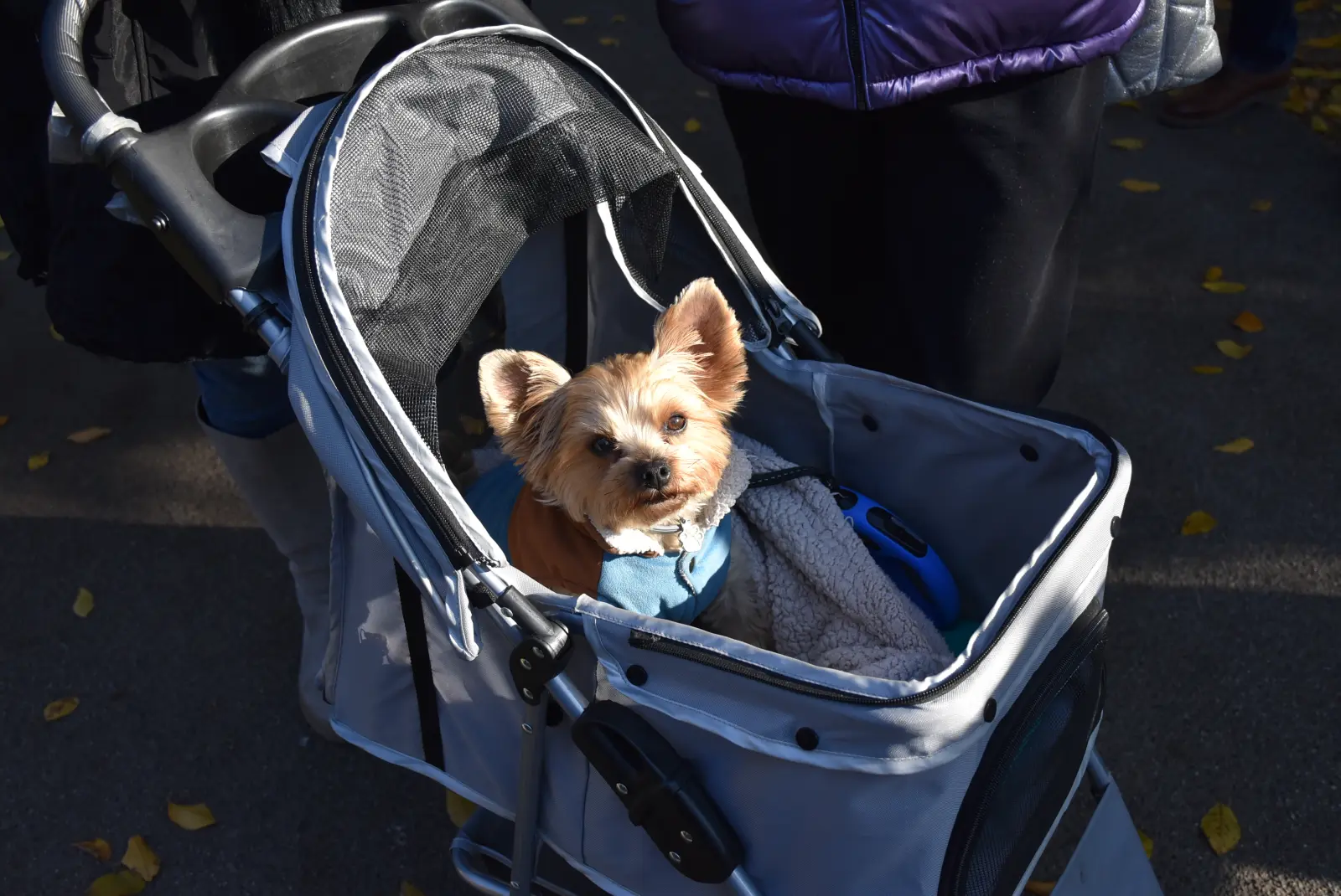 Most Katarine Zrinski (5)