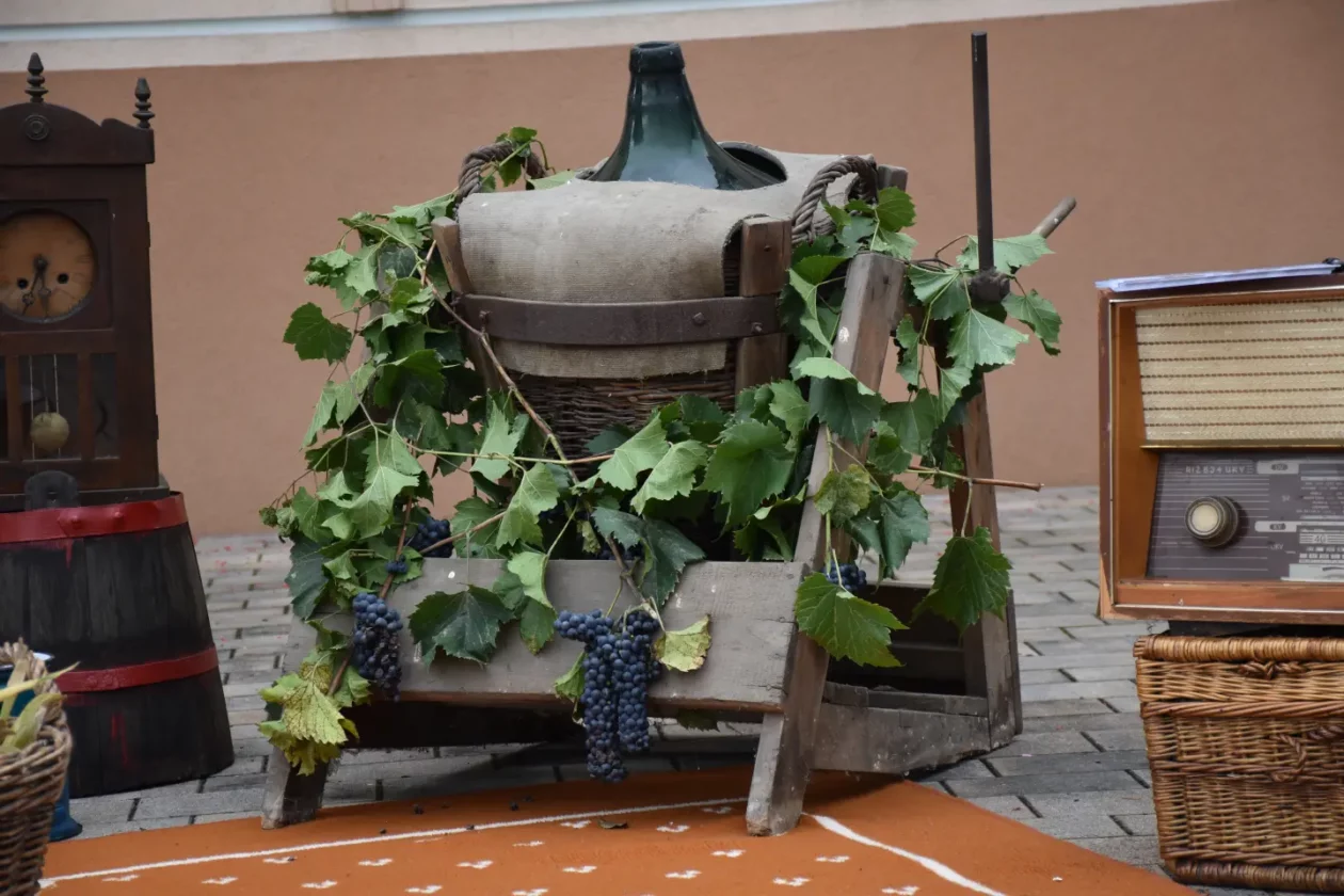 Mursko Središće, Berba grožđa, povorka (1)