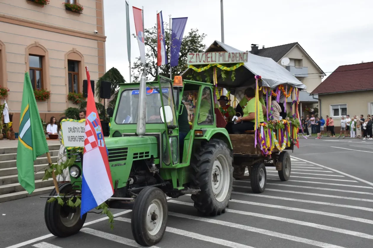 Mursko Središće, Berba grožđa, povorka (42)