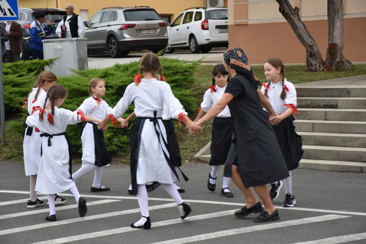 Mursko Središće, Berba grožđa, povorka (52)
