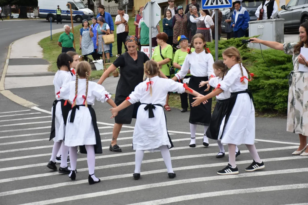 Mursko Središće, Berba grožđa, povorka (53)