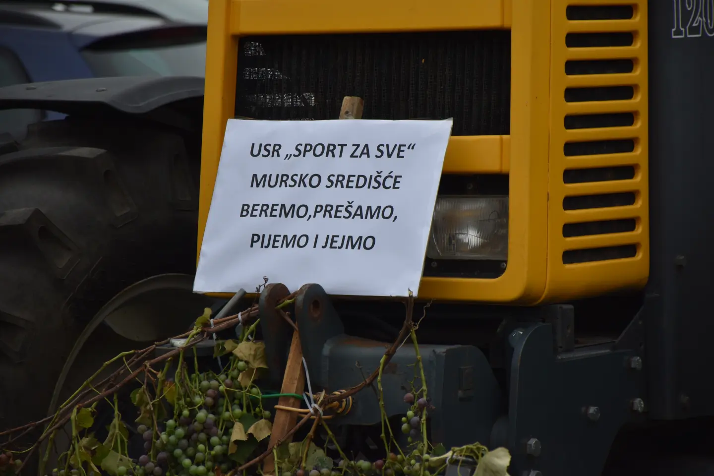 Mursko Središće, Berba grožđa, povorka (57)