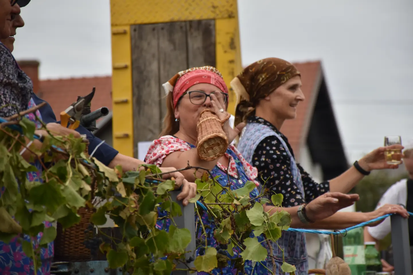 Mursko Središće, Berba grožđa, povorka (58)