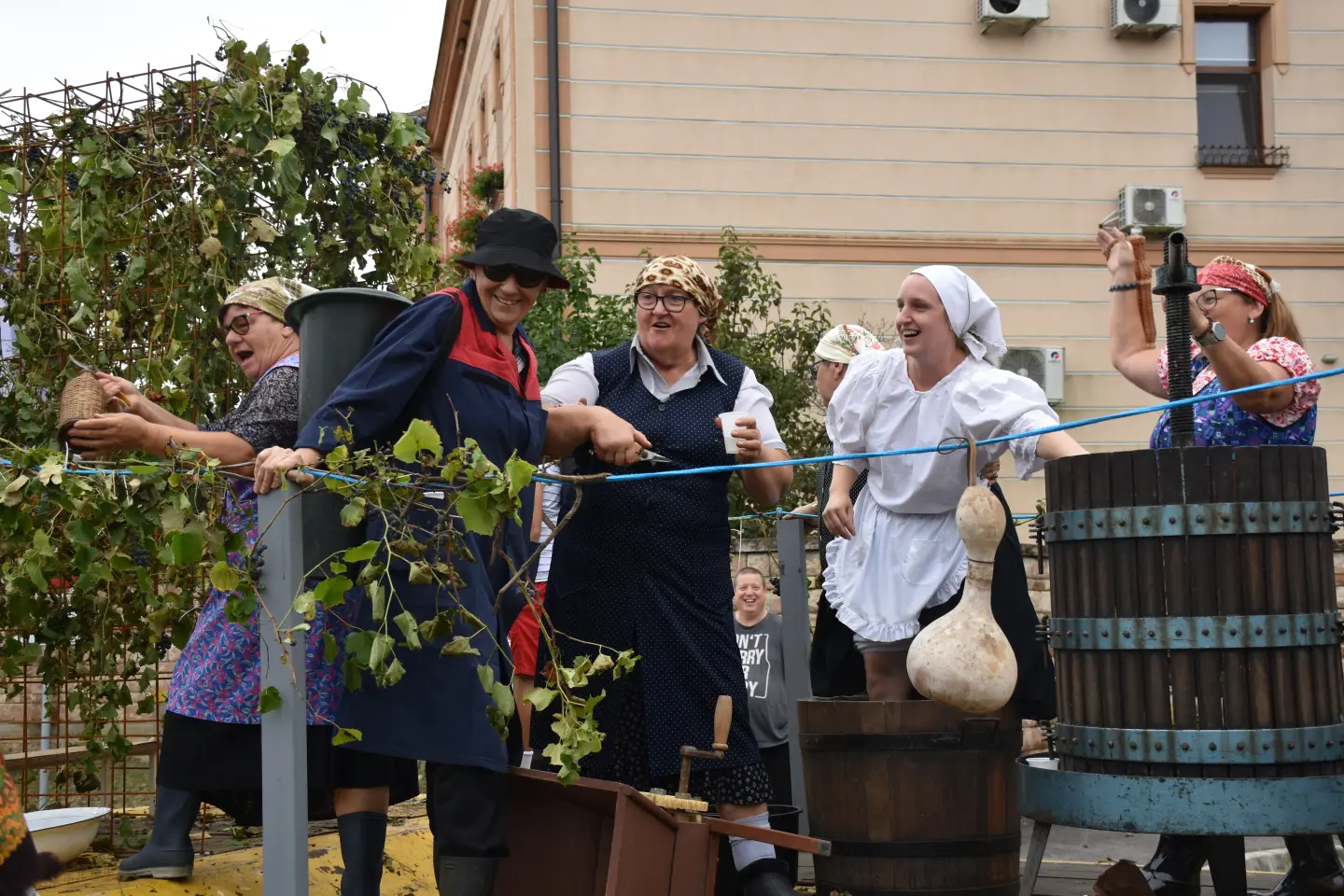 Mursko Središće, Berba grožđa, povorka (61)