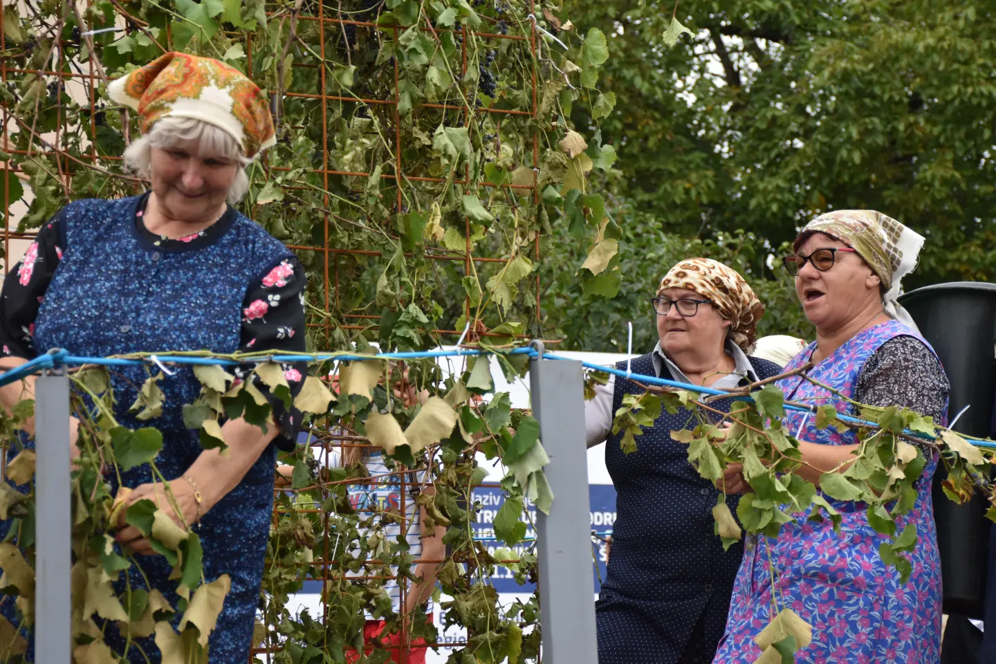 Mursko Središće, Berba grožđa, povorka (63) Mursko Središće, Berba grožđa, povorka (63)