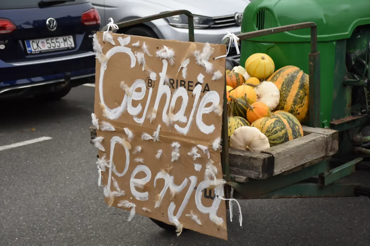 Mursko Središće, Berba grožđa, povorka (66)