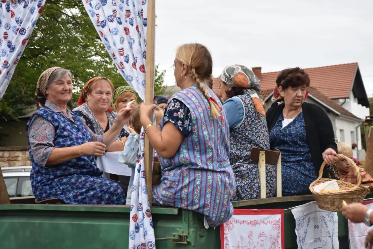 Mursko Središće, Berba grožđa, povorka (67)