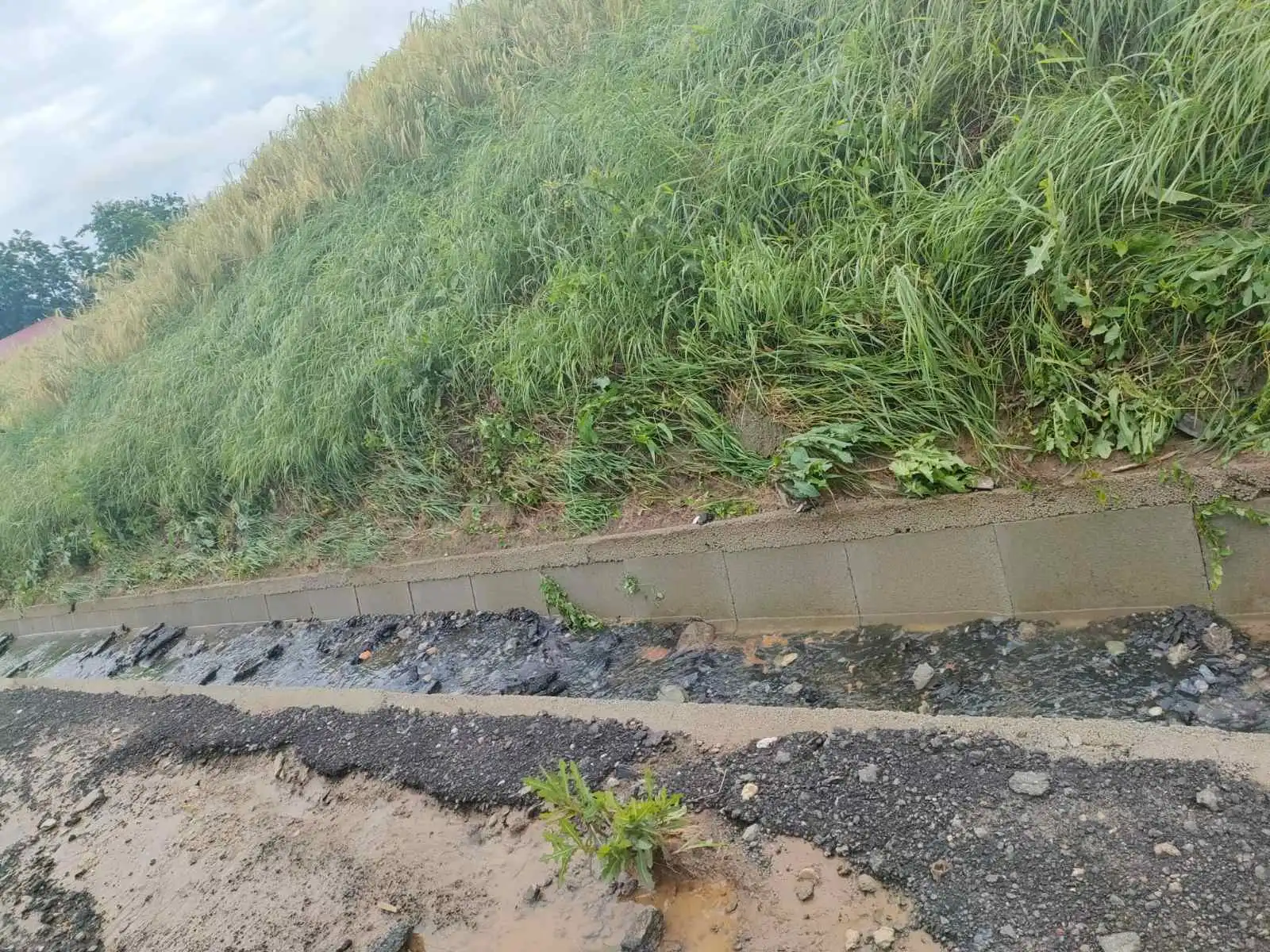 Mursko Središće – Narda (7) Mursko Središće – Narda (7)