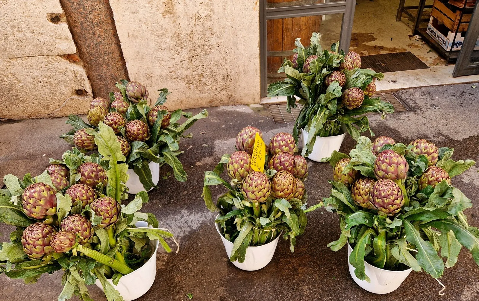 Mursko Središće – Rim (50) Mursko Središće – Rim (50)