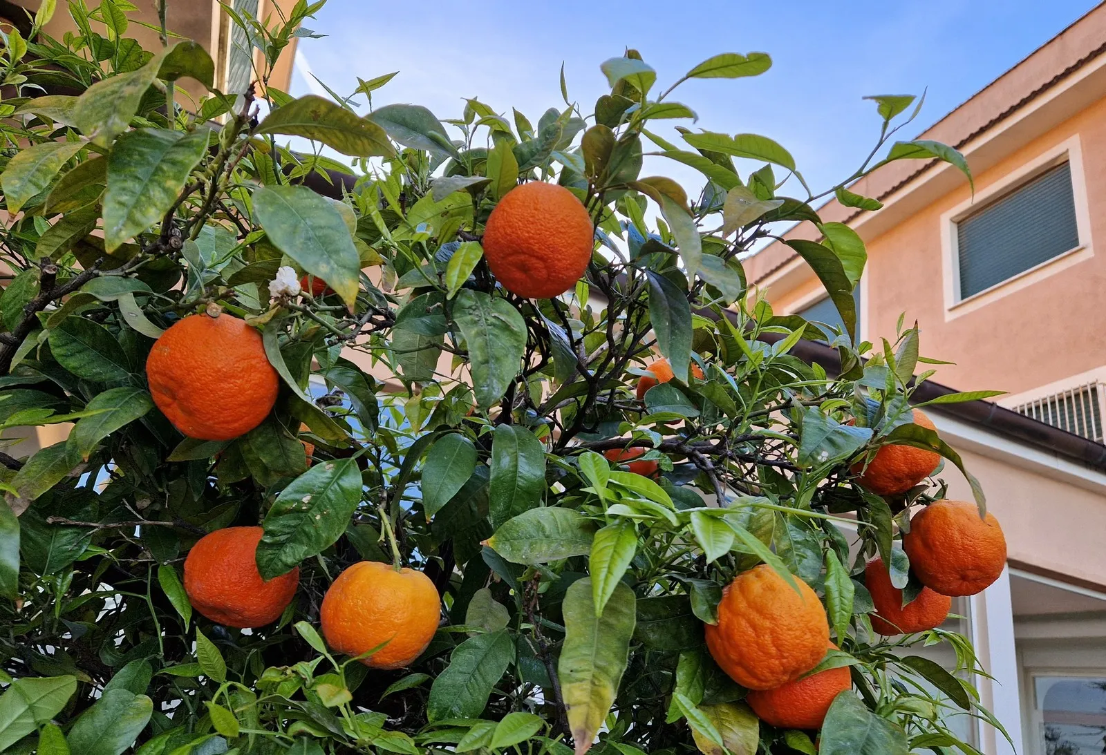 Mursko Središće – Rim (52) Mursko Središće – Rim (52)