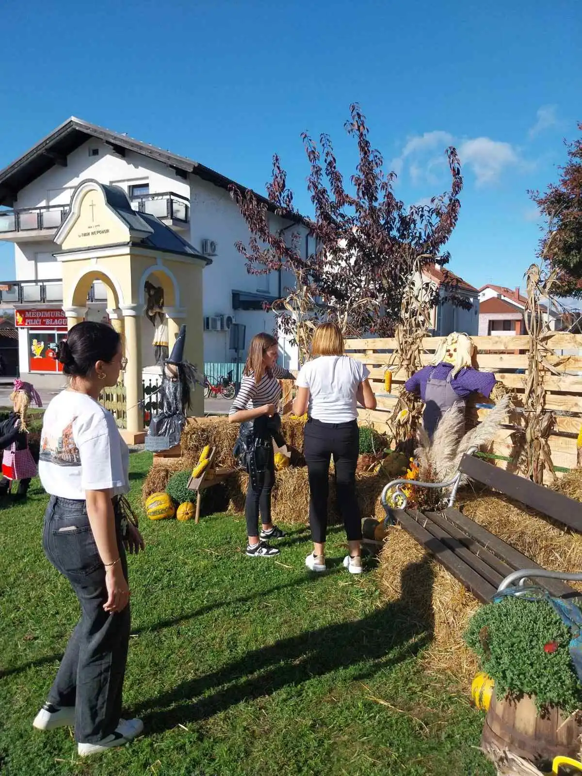 Mursko Središće – park -jesen (6)