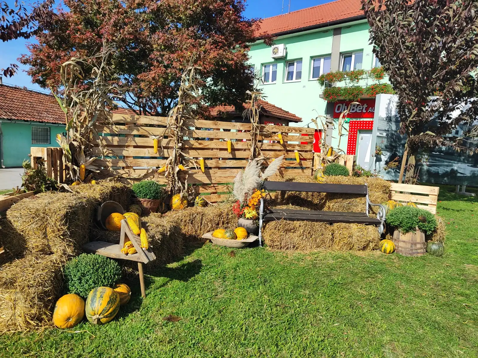 Mursko Središće – park -jesen (7)