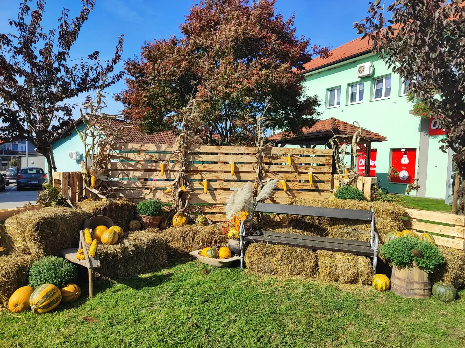 Mursko Središće – park -jesen (8)