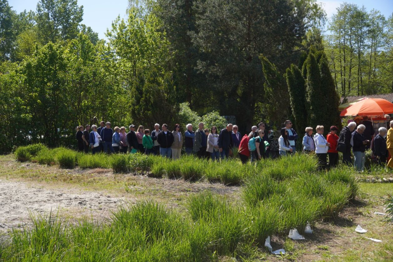 Mursko Središće prvi maj (42) Mursko Središće prvi maj (42)