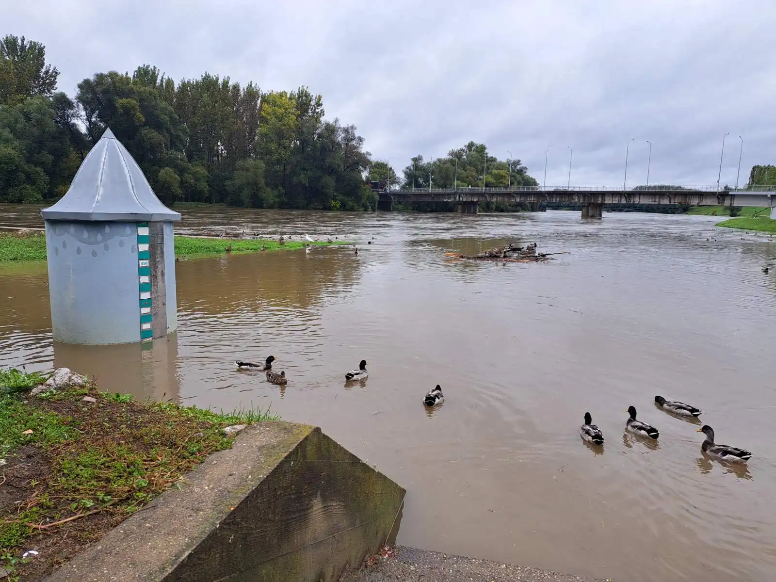 Mursko Središće – pumpa Mura (3)
