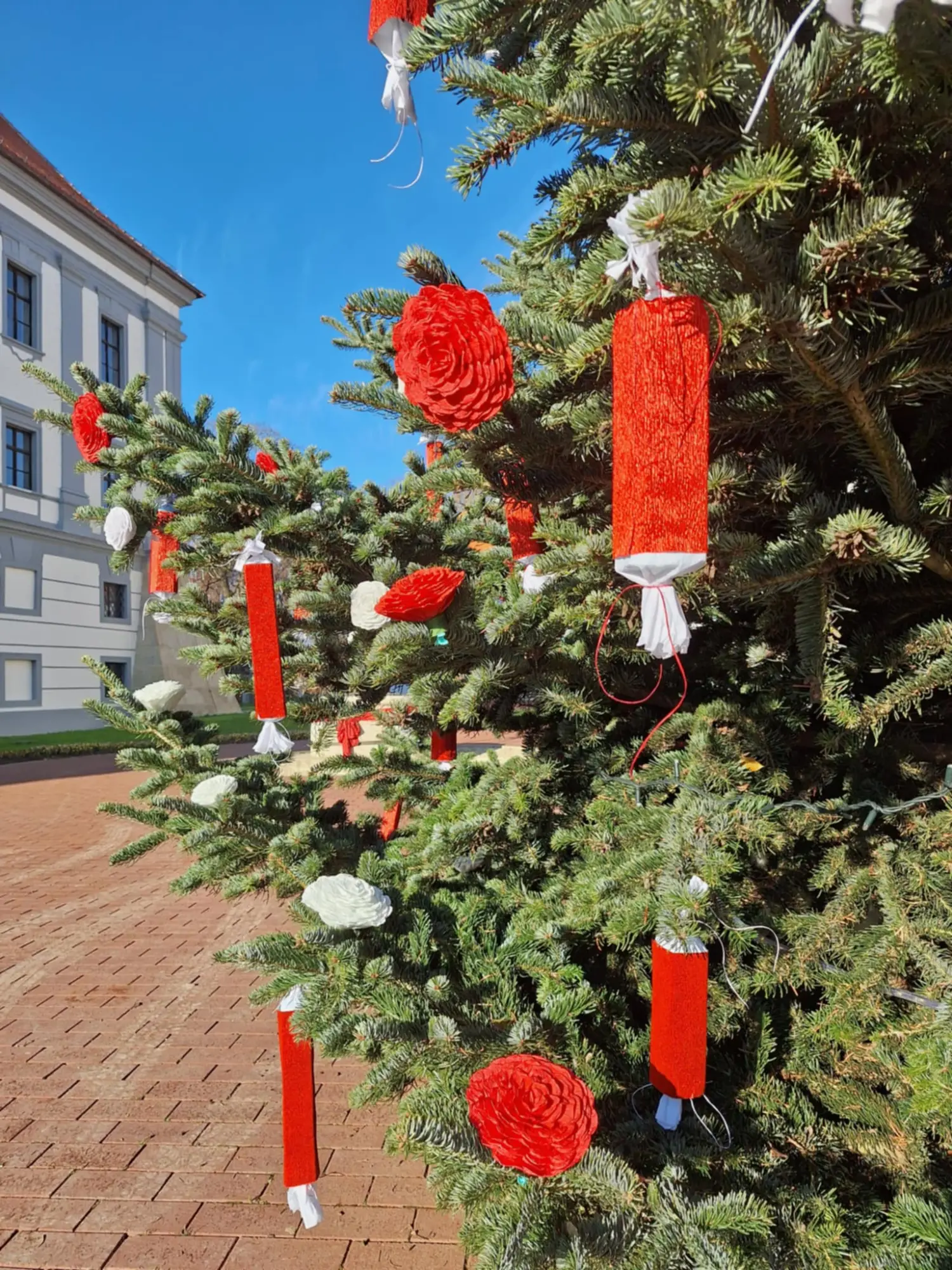 Muzej Čakovec, Veliki bor, božic 2024 (2)