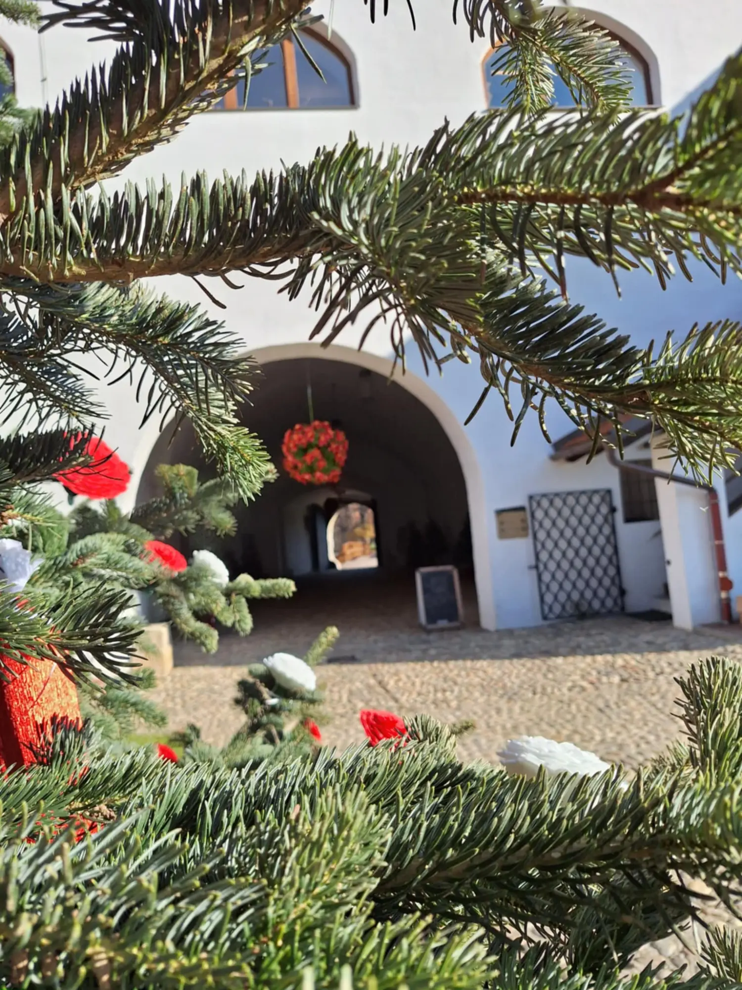 Muzej Čakovec, Veliki bor, božic 2024 (4)