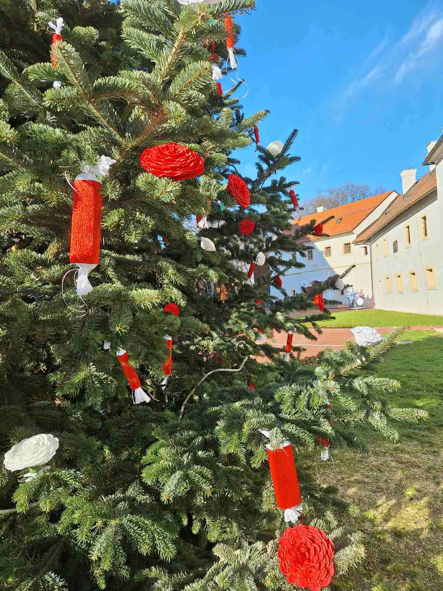 Muzej Čakovec, Veliki bor, božic 2024 (8)