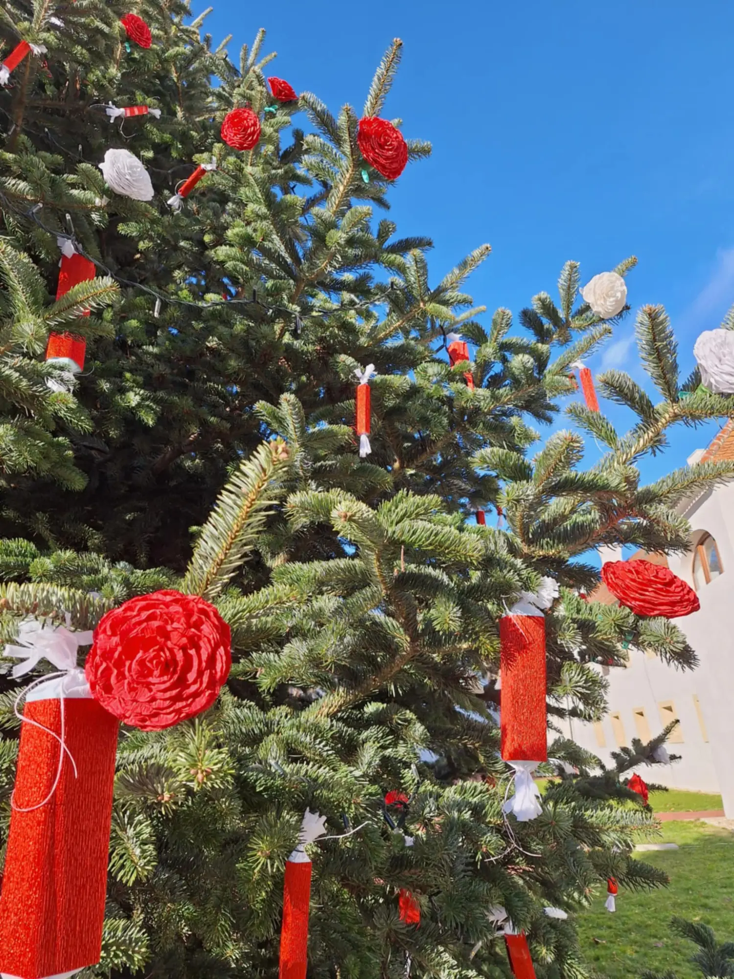 Muzej Čakovec, Veliki bor, božic 2024 (9)