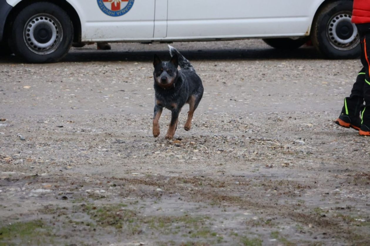 NADA NE PRESTAJE Prijatelji pomažu policiji, vatrogascima i HGSS-u u traženju Josipa Špoljara (4)
