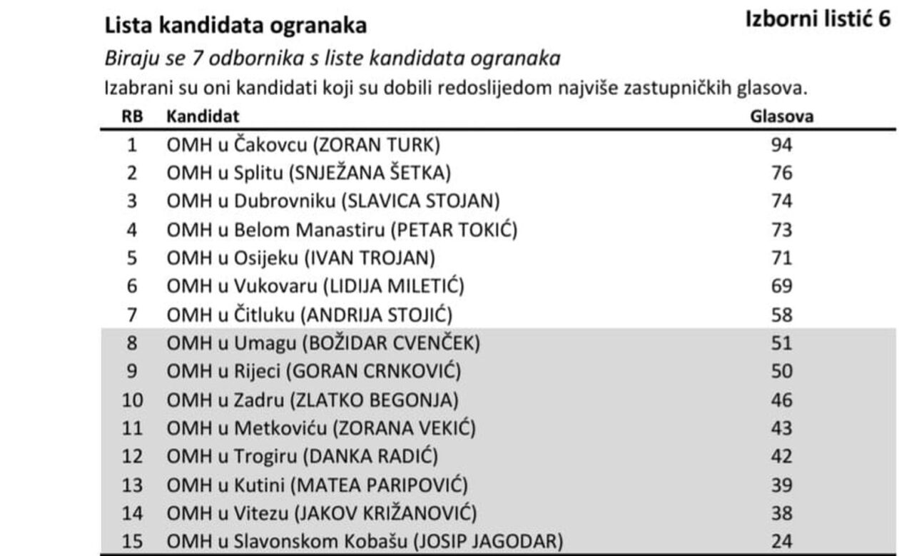 NAJMLAĐI ČLAN Zoran Turk ušao u Glavni odbor Matice s rekordnim brojem glasova (2)