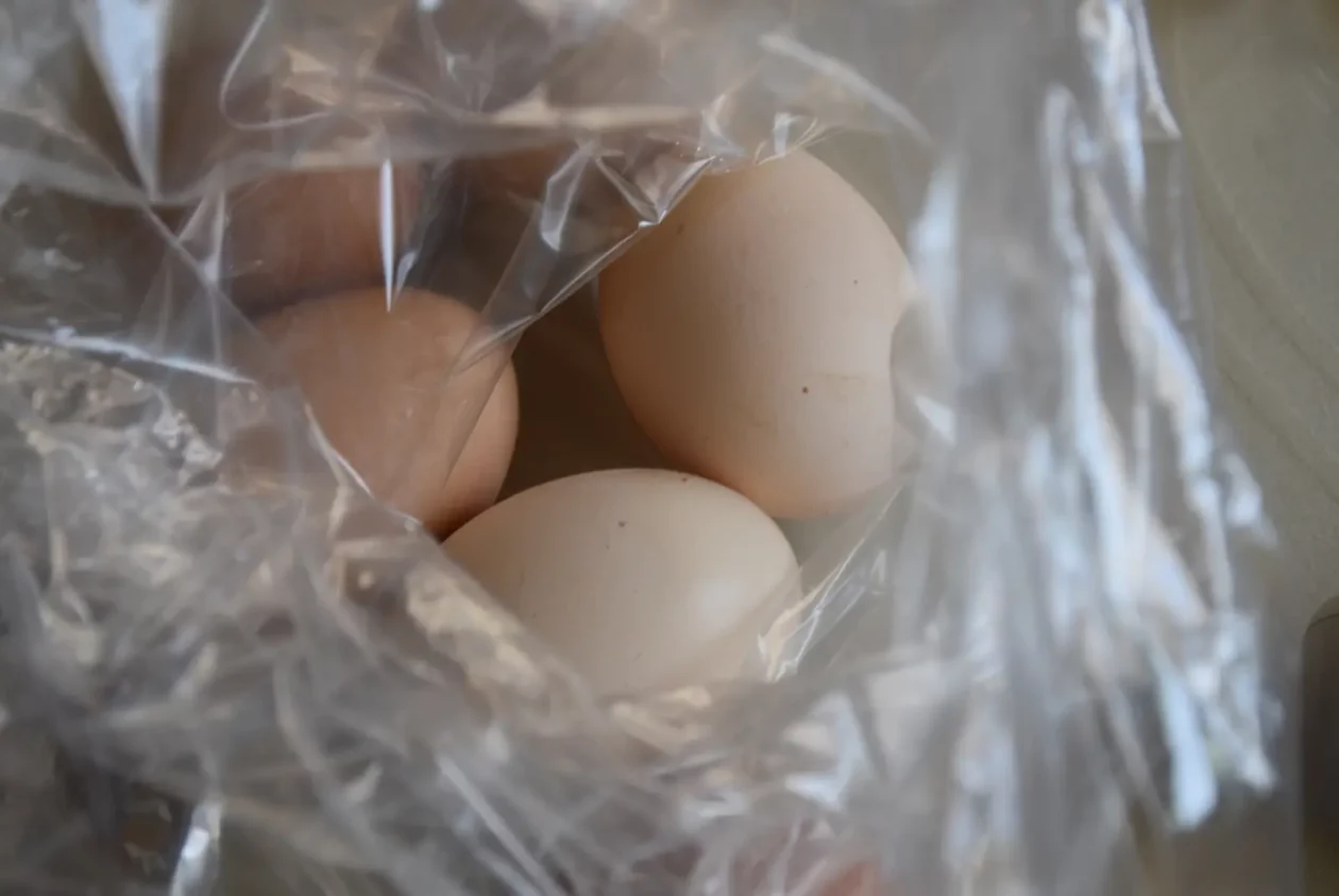 Nada Kvakan, Draškovec, korpica (8)