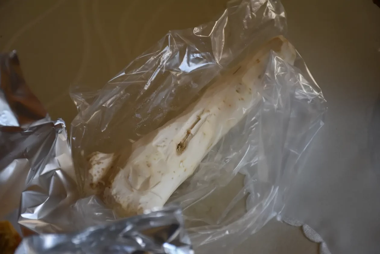 Nada Kvakan, Draškovec, korpica (9)