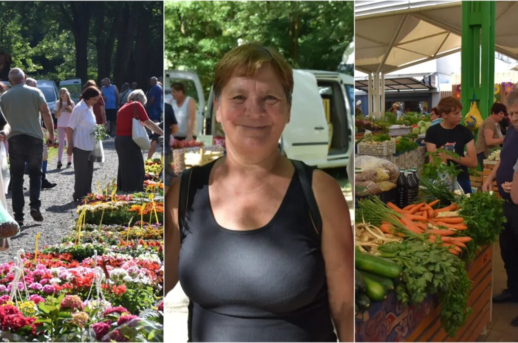 Nada Rozinkranc naslovna Nada Rozinkranc naslovna
